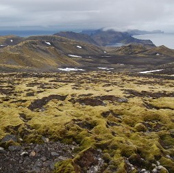 Utsikt ifrn sluttningen av Beerenberg, Jan Mayen