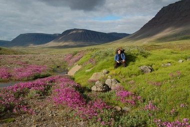 Hiking on the Disko island, Greenland