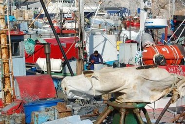 Ilulissat harbor Greenland