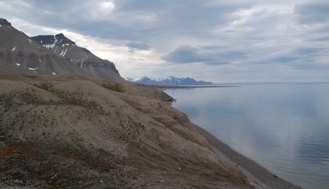 View of coastal sections on Svalbard