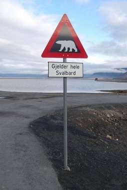 Polarbear warning sign