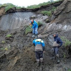 Megafauna in permafrost, Taymyr expedition