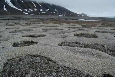 Sorterade cirklar, permafrost, Linndalen, Svalbard